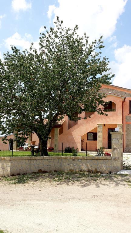 Agriturismo Airone Eco Bio Pitigliano Exterior foto