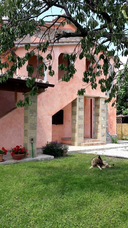 Agriturismo Airone Eco Bio Pitigliano Exterior foto