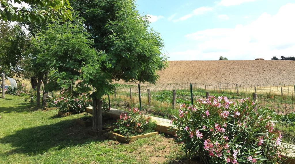 Agriturismo Airone Eco Bio Pitigliano Exterior foto